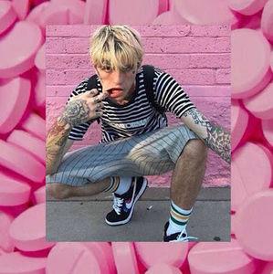 Meet your Posher, Sus meep